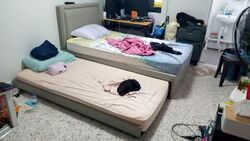 Blk 520 Bedok North Avenue 1 (Bedok), HDB 3 Rooms #543759261